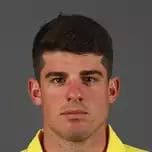 Picture of moises henriques